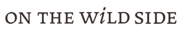 Logo OTWS